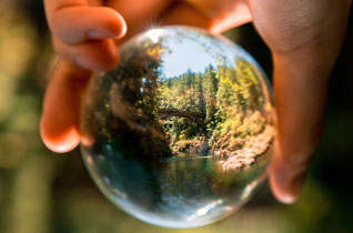 ��Ӯ����