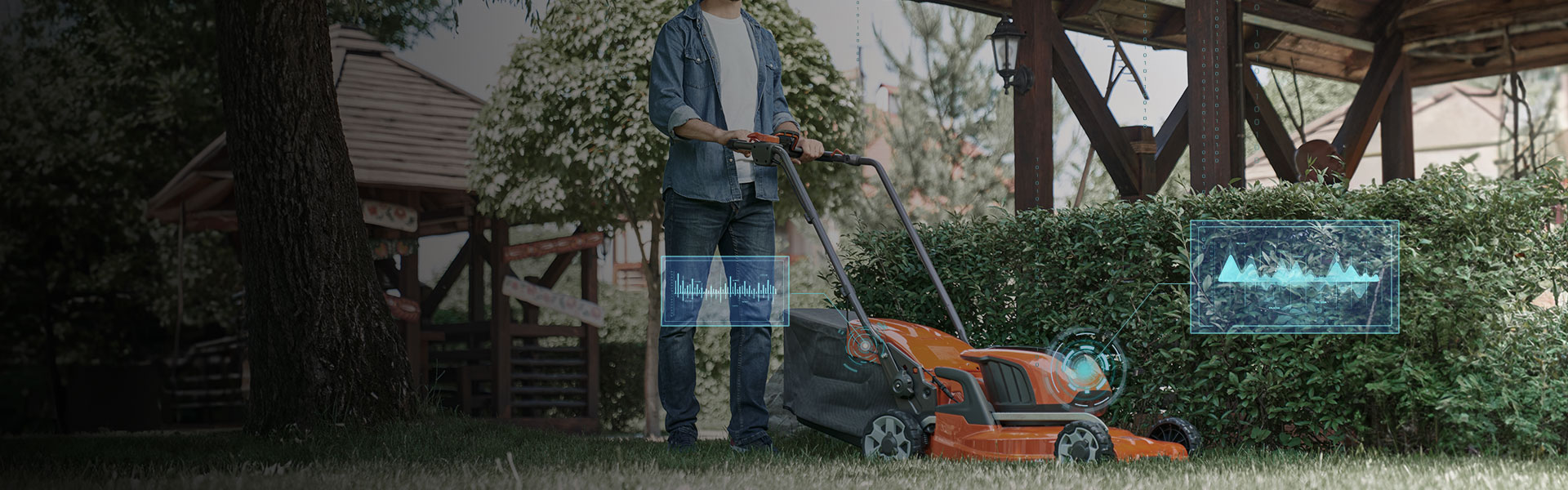 ��Ӯ����