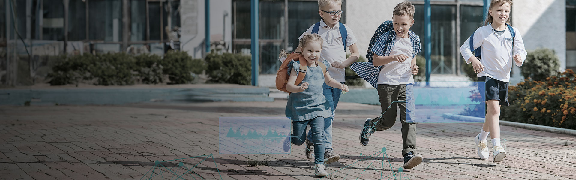 ��Ӯ����