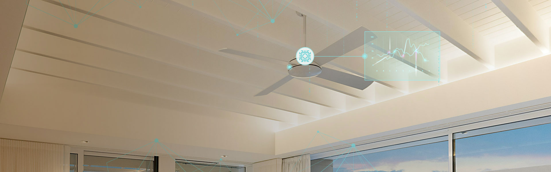 ��Ӯ����