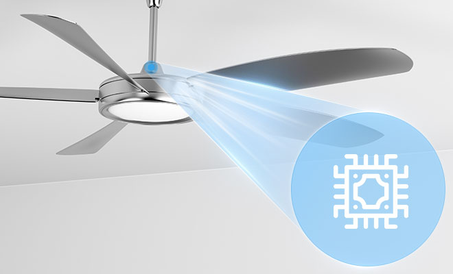 ��Ӯ����