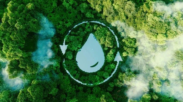 ��Ӯ����