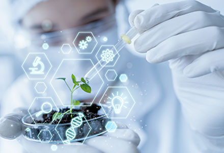 ��Ӯ����