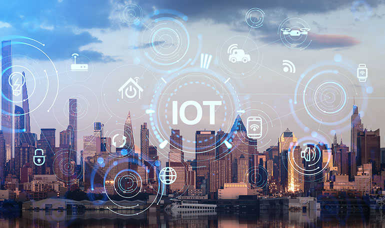 ��Ӯ����