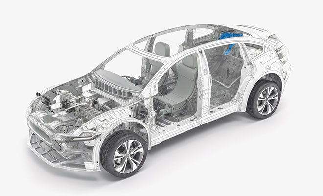 ��Ӯ����