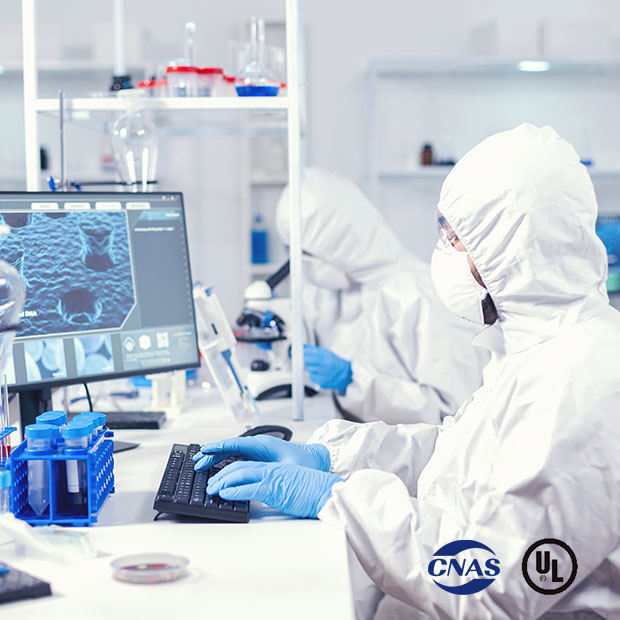 ��Ӯ����